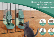 Photo of Полезные материалы для домашних животных