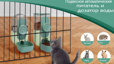 Photo of Полезные материалы для домашних животных